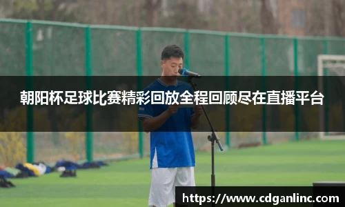 朝阳杯足球比赛精彩回放全程回顾尽在直播平台