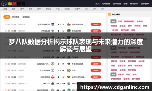 梦八队数据分析揭示球队表现与未来潜力的深度解读与展望