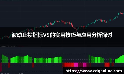 波动止损指标VS的实用技巧与应用分析探讨